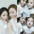 비엔엔(BNN) 이미지