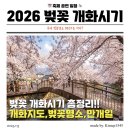 진해구 ⓒ-34 | 2026 벚꽃 개화시기 광주 전남 및 국내 벚꽃 명소 만개 꿀팁