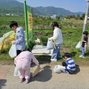 학림초교 이미지