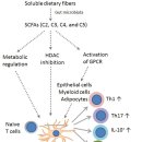 Re: short chain fatty acid... T cell therapy!! 2025 이미지