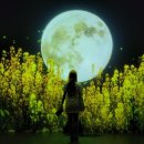 제이엠목장 | 제주도 여행 후기(2일차,3일차)