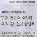 풀밭나라 이미지