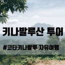 웰컴캐노피 이미지