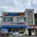 어화도횟집 | 남해 여행 간단 정리 (어화도 횟집,독일마을,완벽한인생,남해편백자연휴양림,순천만습지,순천만 국가...