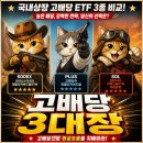 월 20% 배당 가능? 국내 상장 ‘고배당 ETF’ 끝판왕 3종 비교 분석!