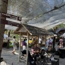 화전농장 | 여행 #7] 마켓투어 1탄 코코넛 마켓 일요일 방문 후기(마켓 특징, 위치, 운영시간, 방문 팁, 먹거리 등)