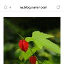 들꽃나라농장 이미지