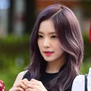 쉬크미용실 네이버블로그