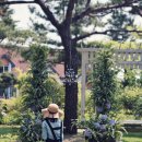 허브캐슬 이미지