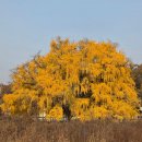 만의골로 이미지