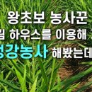 스마트종묘사 이미지