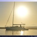 은평애견 이미지