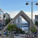 대학로151번길 | 대전 감성만화싸롱 궁동 고양이 만화카페 내돈내산 솔직후기