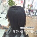 한양태후사랑