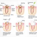 신치과기공소 이미지