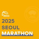 스타시티주차장~동아공영주차장 | [서울] 2025 동아마라톤 D-day + 잠실 근처 주차장 정보