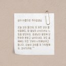 씨앗과나무