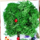 장림초등학교 병설유치원 이미지