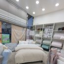 이브자리 | 꿀잠자는 이불, 이브자리 별내점 방문 후기