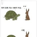 토끼와거북이 이미지