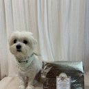 모쿠, 또모쿠 이미지