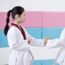 수림효태권도장 네이버블로그
