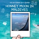 은미자판기 | [HONEYMOON]몰디브 신혼여행기 DAY 1 - 싱가포르 경유편(인천공항 고데기 사는곳/마티나라운지 서편/SQ...