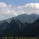 1275 이미지