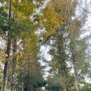 알로히든풀빌라 이미지