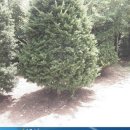 전원농장 이미지