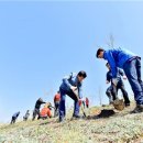 대룡리(주말장터) 이미지