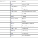 비알엠연구소