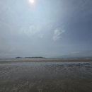 노을해안캠핑장 | 태안노을캠핑장 후기 🌅