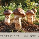 송이푸드 이미지