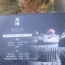 주식회사 웜사이트온양 | 아산 가볼만한 카페, 웜사이트에서 본 신정호 카페