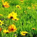 무주읍222 이미지