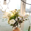 양지꽃집 - 관악구 청룡2길 39 | 양지꽃집