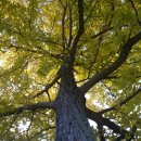 고당봉 표석비 이미지