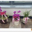 효산장어직판장 이미지