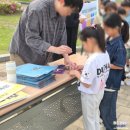 충주남산초등학교