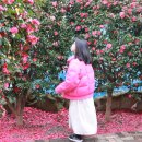 성산렌트카 | 제주도렌트카 타고 떠난 성산여행 후기! 완벽 예약 정보 풀어요ㅋㅋ