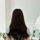 아담장 이미지