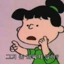 호박7080 | 논현역 술집 보통사람들 분위기 좋은 실내포차 야장 맛집 솔직한 내돈내산 후기