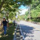 우포늪식당 이미지