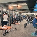 알피프리 이미지