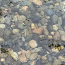 동강포도원펜션 | (포도원래프팅)영월 액티비티 동강래프팅 업체 강추 자세한후기