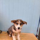 검정마을회관 이미지