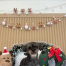 몽트루디 이미지