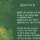 아름다운 손글씨 한글 캘리그라피 이미지