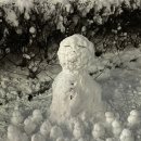 대전추모공원 이미지